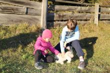 Stroking the lambs – close to the animals