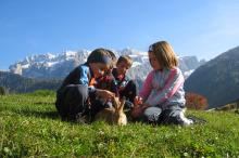 Children out on the meadow – petting the rabbits