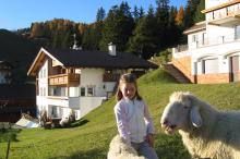 Sheep at the Neuhaushof