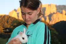 Baby rabbits at the Neuhaushof