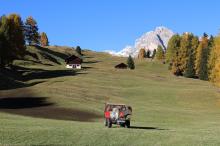 Spreading manure in autumn