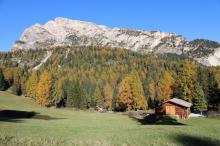 Il nostro fienile sulla malga nella dorata luce autunnale